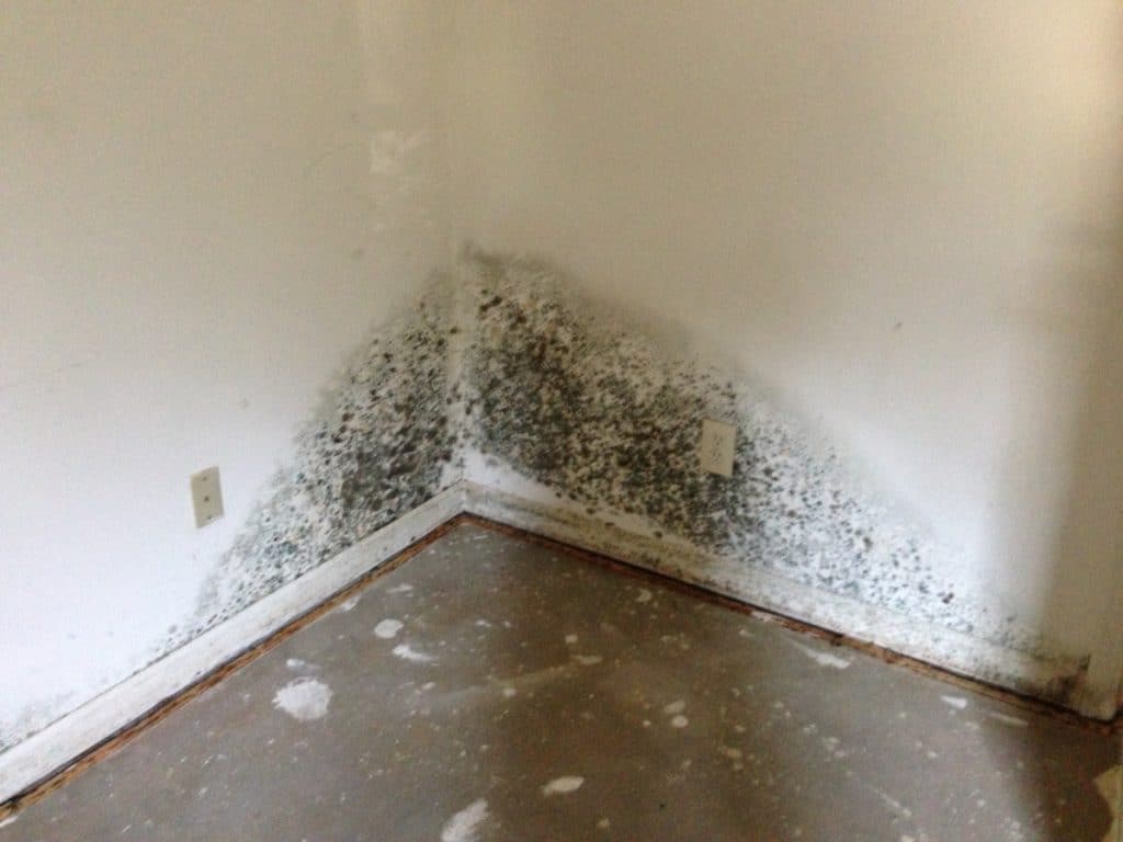 prevent-mold-wyoming-mi-everdry-waterproofing-of-greater-grand-rapids-3